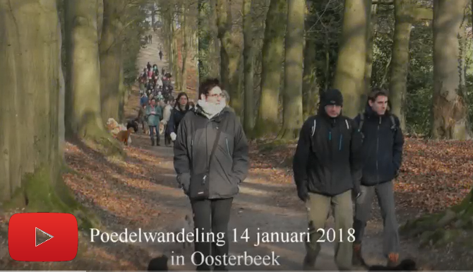 Oosterbeek 14 1 2017