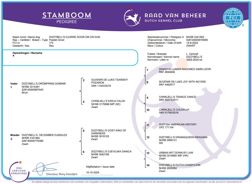reu stamboom