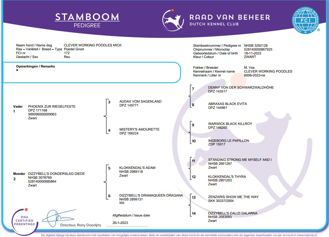 stamboom