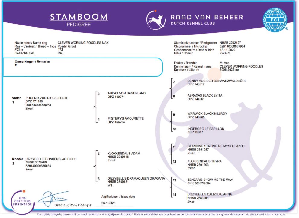stamboom