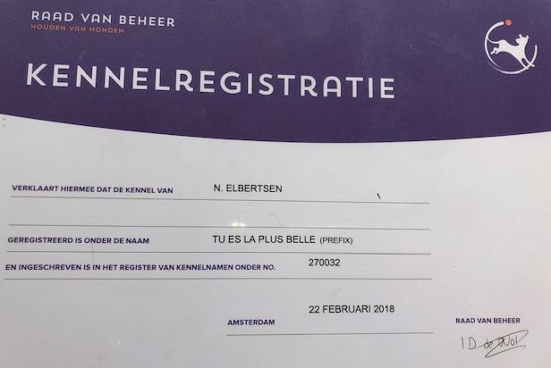 registratie RvB