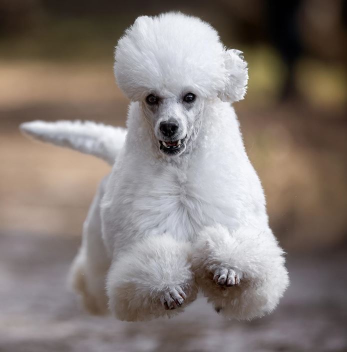 onderdeel omslag 2025 3